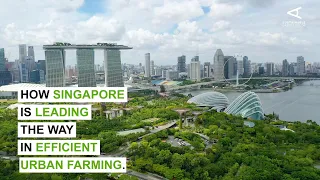 How Singapore is leading the way in efficient urban farming.