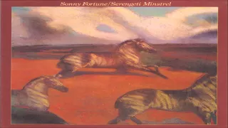 Sonny Fortune - There's Nothing Smart About Being Stupid