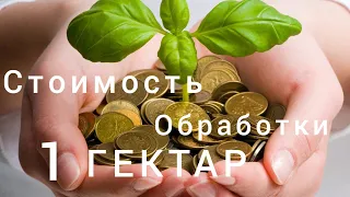 Стоимость Обработки Земли на Данный момент.31 марта 2024 г.