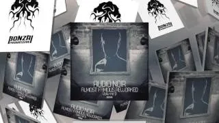 Audio Noir - Wunderschong - Rise And Fall Remix (Bonzai Progressive)