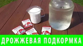 ПРИГОТОВЛЕНИЕ ДРОЖЖЕВОЙ ПОДКОРМКИ ДЛЯ РАСТЕНИЙ