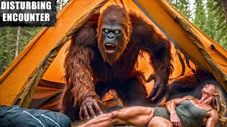 SASQUATCH SURVIVAL | "Aggressive Bigfoot Broke Into My Tent While Camping..." | #bigfoot 2024