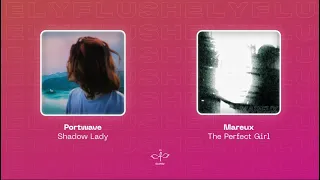 Flushely - Shadow Lady x The Perfect Girl (Mashup)