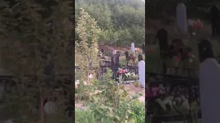 Медведь на кладбище в Охе