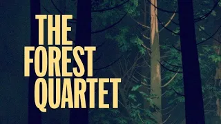 The Forest Quartet | on Steam Trailer
