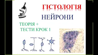 Нейрони: теорія + тести КРОК 1 Гістологія.