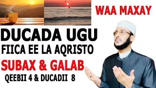 Duca Aad U Qiima Badan Uu Nabiga (SAW) U Dardaarmay Gabadhiisa Fadumo