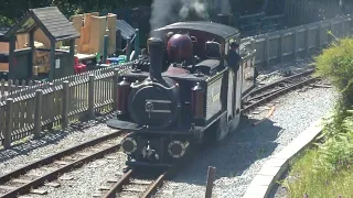 Double Fairlie Merddin Emrys 1879 Running Around At Tan-y-Bwlch, Maentwrog