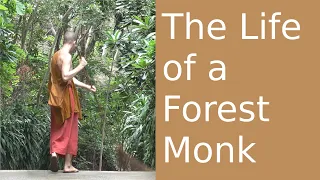 The Life of a Forest Monk