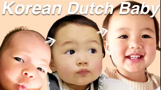 Korean Dutch Baby Transformation 0-15 months!