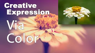 CREATIVE EXPRESSION (Via COLOR):Featuring The NIK COLLECTION/ Color Efex Pro 4...