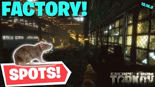 Escape From Tarkov - The Rat King Reveals The Best Rat Spots On Factory! 12.12.3 Factory Rat Guide!