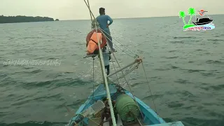 This is How Fisherman Catch Hundreds Tons Fishesh. Modern Fish Processing & Fishing Net Video