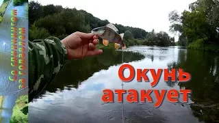 Окунь атакует.Он спасает от нуля!!!