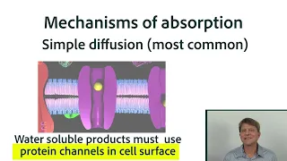 Absorption of Drugs Part 2