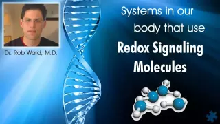 Redox Signaling Doctor to Doctor