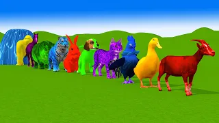 Paint & Animals Cow Duck Cat Chicken Dog Gorilla Sheep Horse Tiger Hippo Fountain Crossing Animal