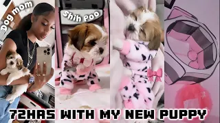 GETTING MY NEW SHIH POO PUPPY | FIRST 72HOURS VLOG 🎀 | shopping, puppy prep, etc..