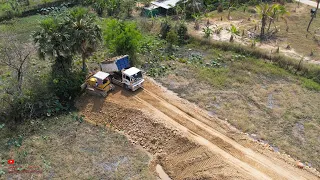 Unexpected​ Update New Road Opposite The Palm Tree​ Working Skills Of Dozer Komatsu And Dump Trucks