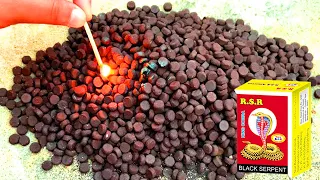 1000 SNAKE BOMB🐍 at Once Fire Diwali Cracker Testing ~ 1000 Black Snakes at Once This Diwali 2022