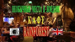 Рестораны Лондона Rainforest.Лучшие Рестораны Лондона.Интересные Места Лондон.Жизнь В Англии