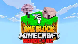 I Survived 100 Days on ONE BLOCK SKYBLOCK in Hardcore Minecraft