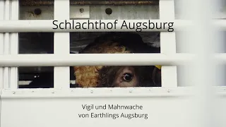 Unglückliche Tiere 😢 - Schlachthof Augsburg mit Earthlings Augsburg