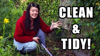 Ivy Removal & Mobile Home Repair! #HomeFor25k || Diary of a Ditch Witch