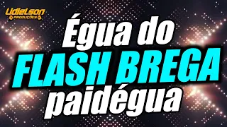 ÉGUA DO FLASH BREGA PAIDÉGUA - SÓ MUSICÃO TOP PRA VOCÊ CURTIR NO SABADÃO - OS MELHORES SUCESSOS