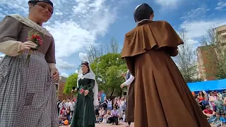 Nardos - Gegants de l'agrupació Cultural Folklòrica de Sant Feliu de Llobregat