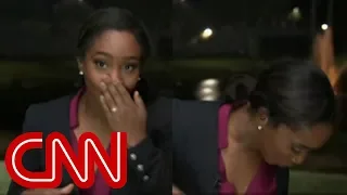 CNN reporter 'attacked' by lizard on live TV