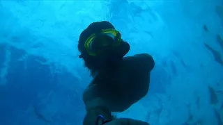 GoPro Hero 8 Snorkeling The Bay - Big Island Hawai’i