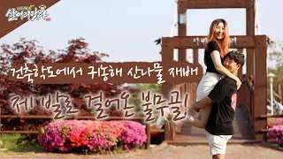 (살어리랏다3) 불무골 산나물 캐는 산골소녀가 된 아름이... wild green, ktv, korea tv, bts (충남 예산, 장아름, 31세)