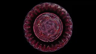 Vibrations of Music Through Water - Tashka Urban Cymatics