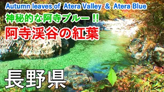 Autumn leaves of Atera Valley & Atera Blue ( Nagano, Japan )