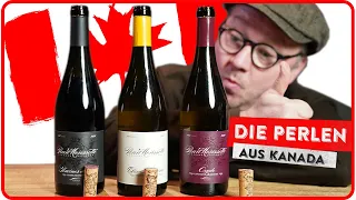 Weinbau in Kanada – Pearl Morissette und seine raren Spitzenweine – (1)5 MINUTEN FÜR WEIN AM LIMIT