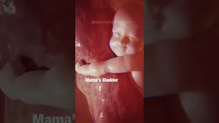 MAGICAL: What babies do in the WOMB 😍 #pregnancy #shorts