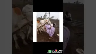 Farmer *heart touching*