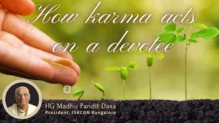 How karma acts on a devotee I HG Madhu Pandit Dasa I SB 4.8.2 I 07.01.2021