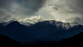 Juan Arabel - Colibrí