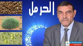 الحرمل | الدكتور محمد فائد