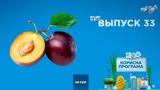 Как выбрать спелые сливы | ПОЛЕЗНАЯ ПРОГРАММА. Выпуск 33 — 29.10.2019