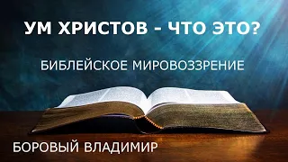 СУББОТНЯЯ ШКОЛА. ОБЗОР 12 УРОКА. | библейское мировоззрение | Боровый Владимир