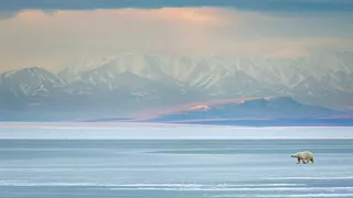 America's Wildest Refuge: Discovering the Arctic National Wildlife Refuge