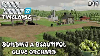 Building a Beautiful Olive Orchard | Using the belt system | FS 22 Timelapse