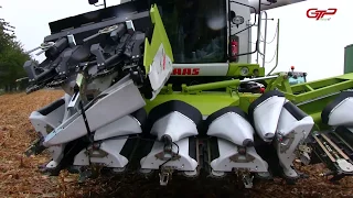 NEW | CLAAS Corio & Corio Conspeed maize headers