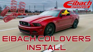 Eibach Sport Line Lowering Springs & Coilovers Install On Mustang GT! (05-14)