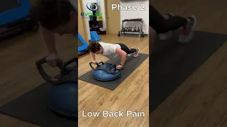 Push-Up to Downward Dog Using BOSU Balance Trainer and BOSU Helm: Low Back Pain | Phase 2