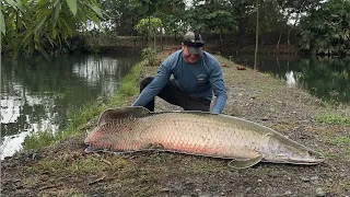 Prehistoric Arapaima (Catch, Clean, and Cook) Part 2