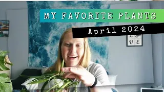 My Favorite Plants of April 2024!
